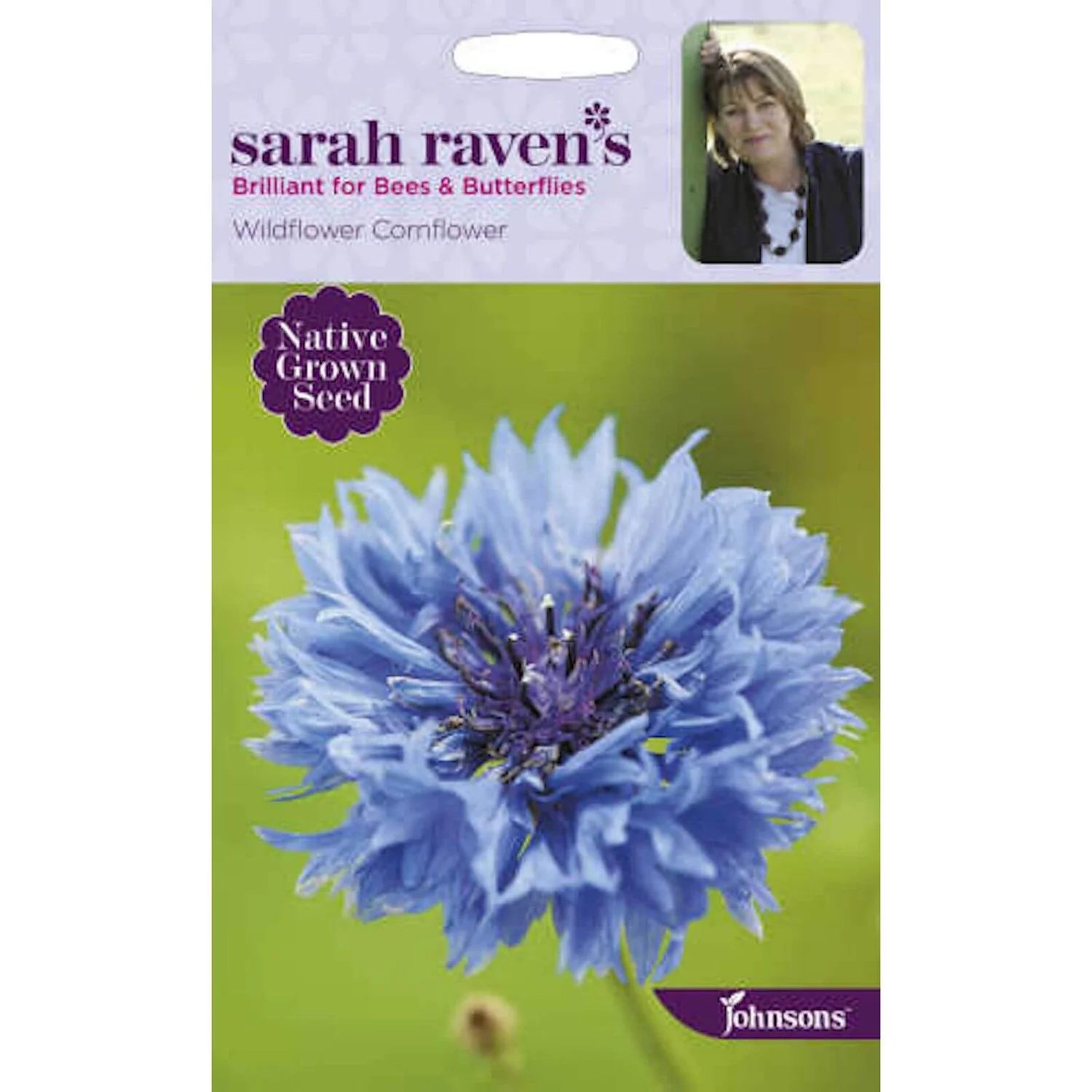 Sarah Ravens Wildflower Cornflower Seeds 1 Sarah Ravens Wildflower Cornflower Seeds