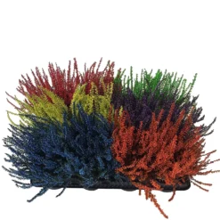 None Heather Mix 5 None Heather Mix -Garantia Store 12804629 1574898246769774