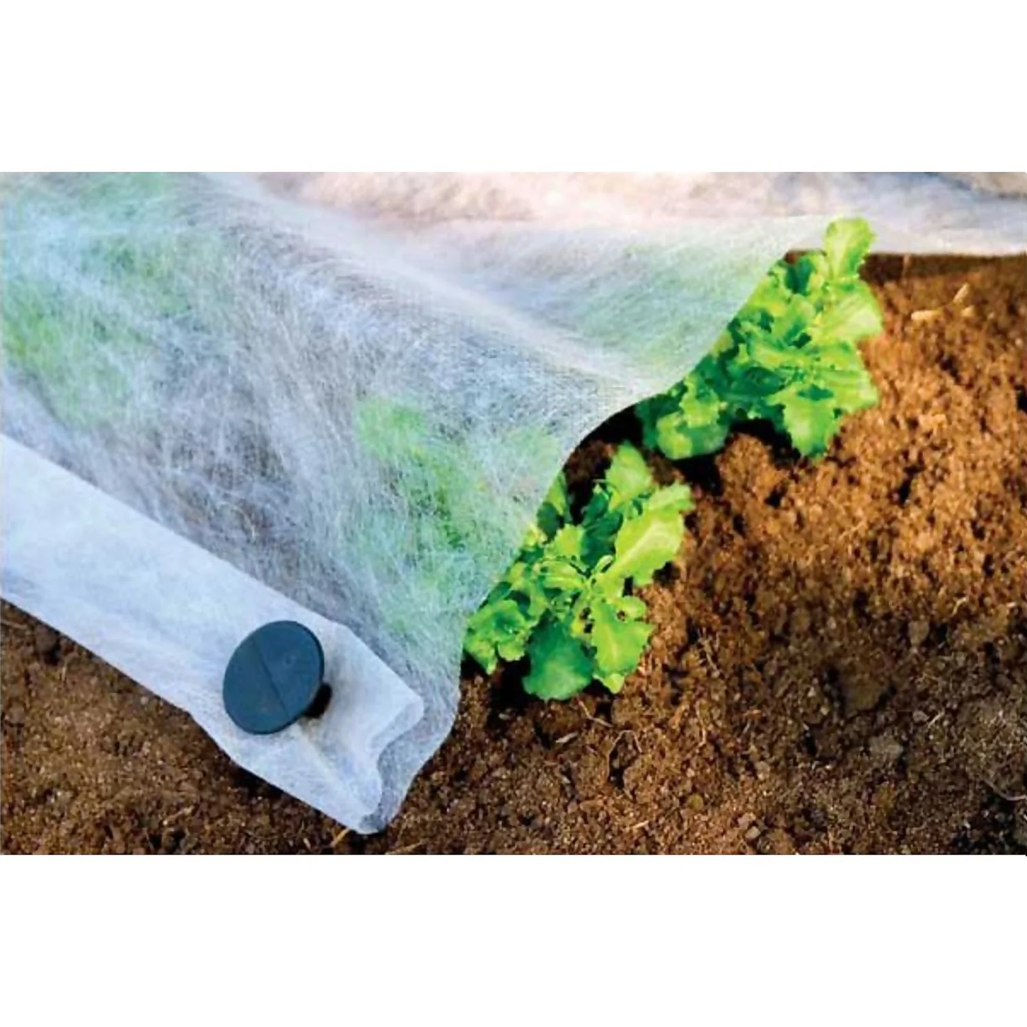 Plant Protection Fleece - 4.5 X 2.2m 1 Plant Protection Fleece - 4.5 X 2.2m