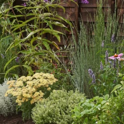 Sensory Border Collection - 5m X 60cm 11 Sensory Border Collection - 5m X 60cm -Garantia Store 12806841 1385034598309749