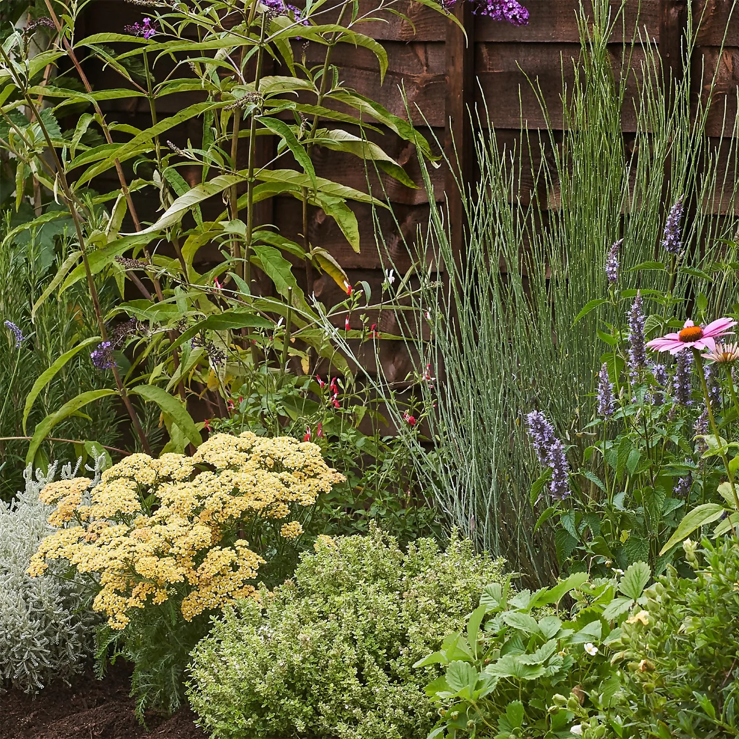 Sensory Border Collection - 5m X 60cm 5 Sensory Border Collection - 5m X 60cm - Image 5