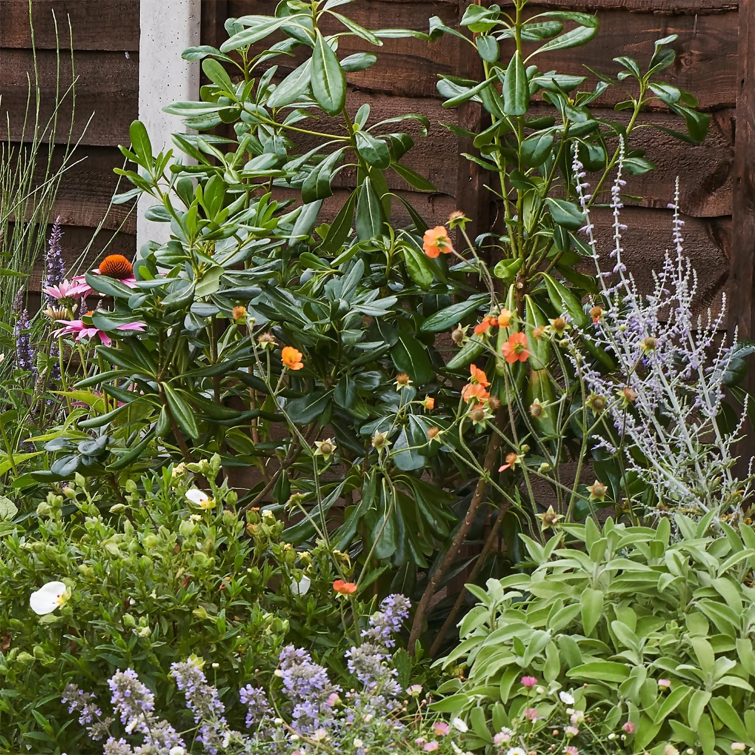 Sensory Border Collection - 5m X 60cm 6 Sensory Border Collection - 5m X 60cm - Image 6