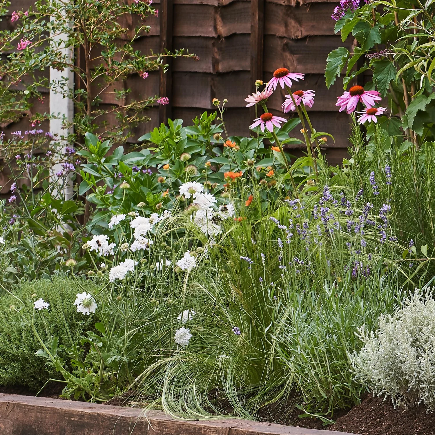 Sensory Border Collection - 5m X 60cm 4 Sensory Border Collection - 5m X 60cm - Image 4