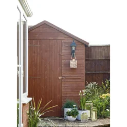 Grass Festuca Intense Blue (Blue Fescue) 17cm 6 Grass Festuca Intense Blue (Blue Fescue) 17cm -Garantia Store 12807045 1834833169401858