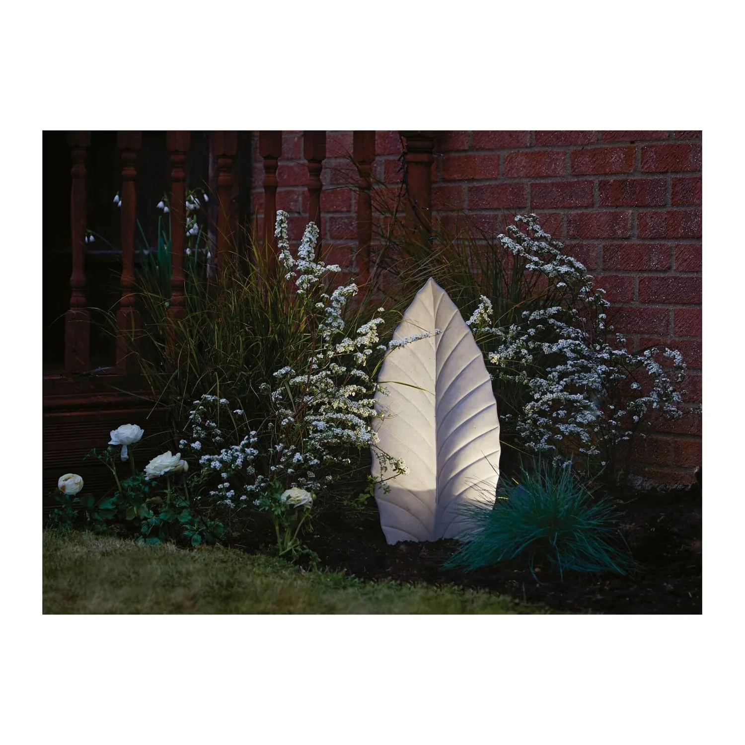 Grass Festuca Intense Blue (Blue Fescue) 17cm 2 Grass Festuca Intense Blue (Blue Fescue) 17cm - Image 2