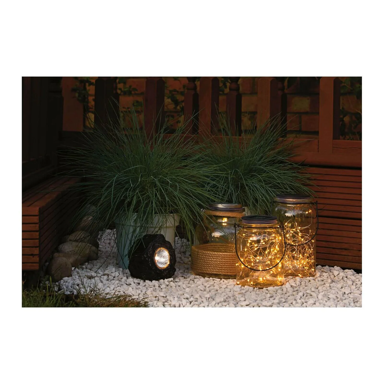 Grass Festuca Intense Blue (Blue Fescue) 17cm 4 Grass Festuca Intense Blue (Blue Fescue) 17cm - Image 4