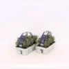 Lavandula/Lavender Angustifolia 6 Pack