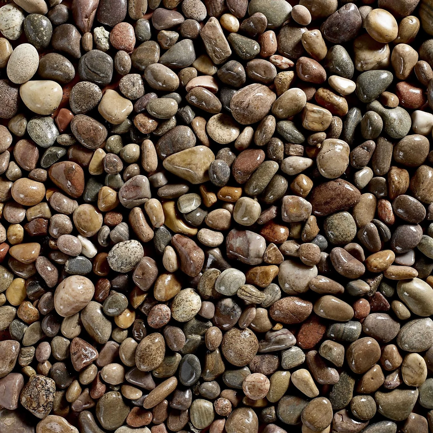 Stylish Stone Premium Scottish Cobbles - Midi Pack - 9kg 2 Stylish Stone Premium Scottish Cobbles - Midi Pack - 9kg - Image 2