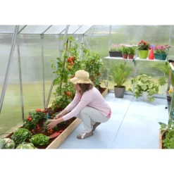 Palram 8 X 12ft Canopia Essence Greenhouse - Silver -Garantia Store 12810970 1964833196432233