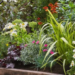 Sunny Border Collection - 6m X 90cm 10 Sunny Border Collection - 6m X 90cm -Garantia Store 12811331 1475034640537932