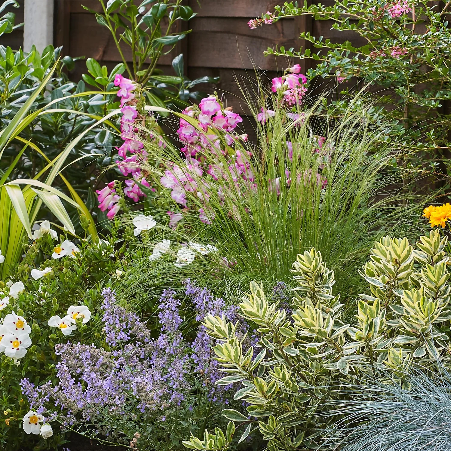 Sunny Border Collection - 6m X 90cm 5 Sunny Border Collection - 6m X 90cm - Image 5