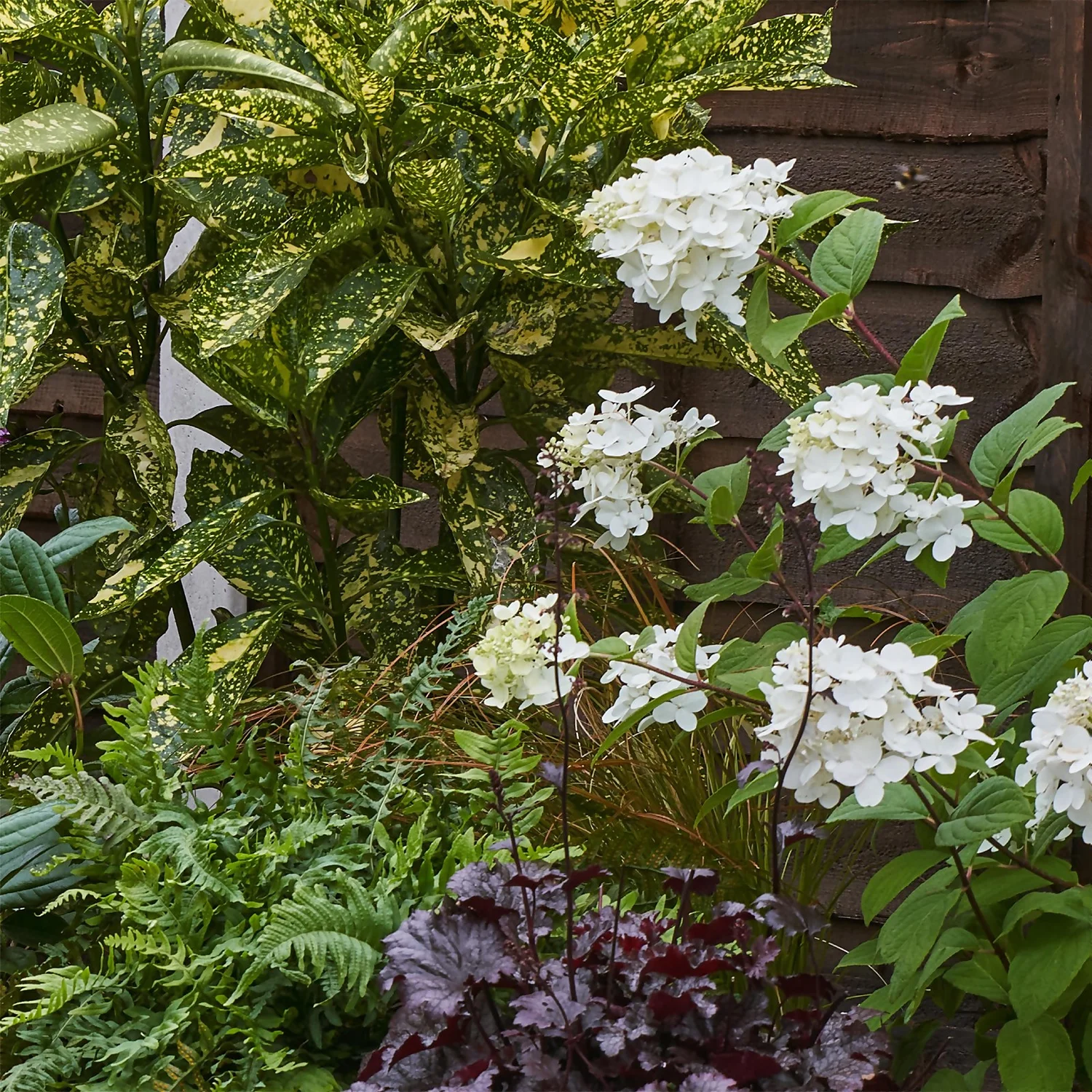 Shady Border Collection - 7m X 60cm 6 Shady Border Collection - 7m X 60cm - Image 6