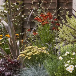 Mediterranean Border Collection - 6m X 60cm -Garantia Store 12811468 1675027868438444