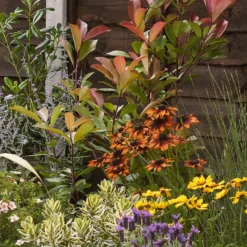 Mediterranean Border Collection - 6m X 60cm -Garantia Store 12811468 1975027868551160