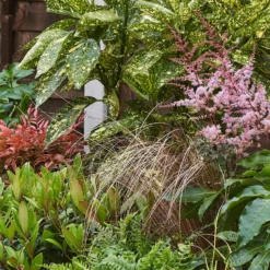 Evergreen Border Collection - 9m X 90cm -Garantia Store 12811593 1515027650953459