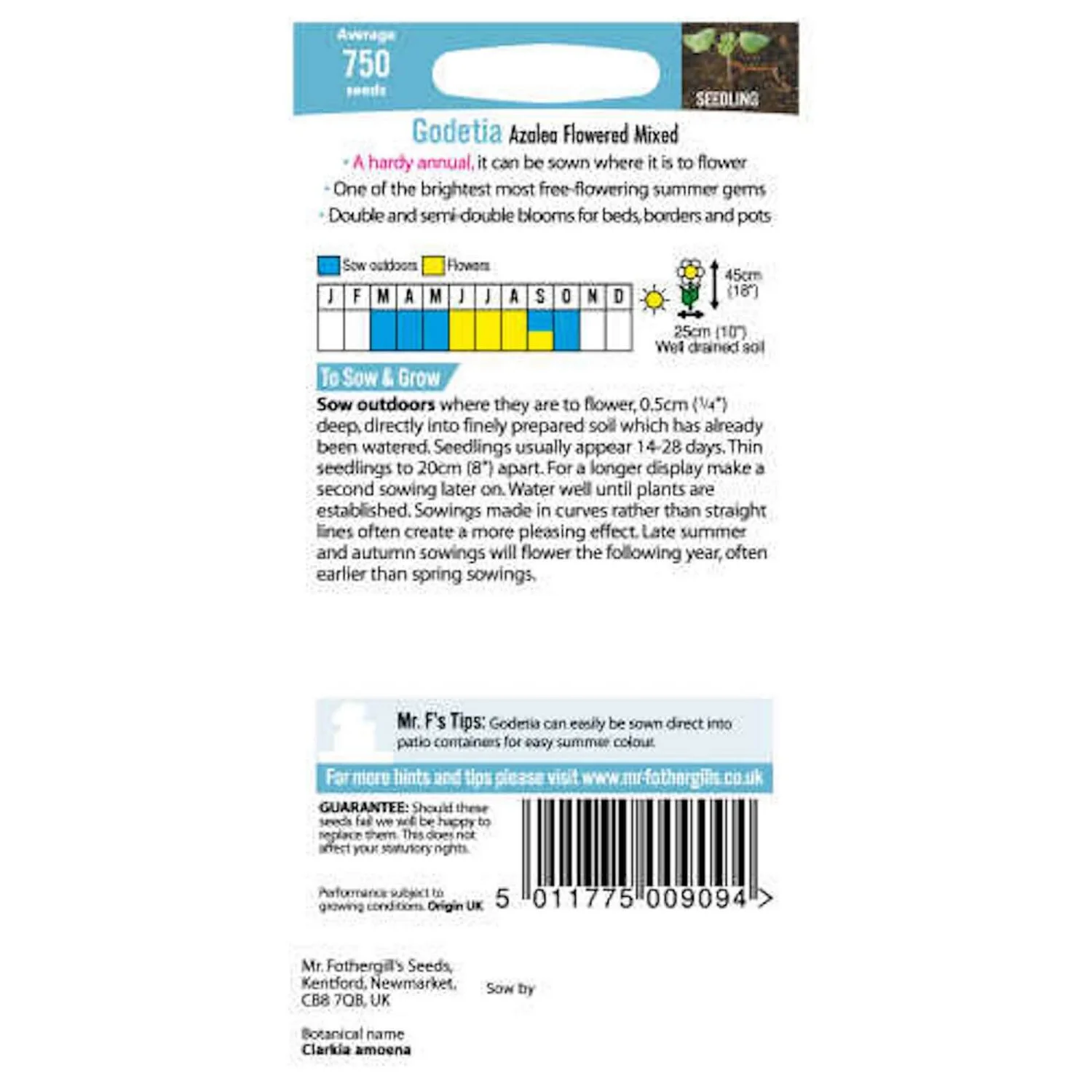 Mr. Fothergill's Godetia Azalea Flowered Mixed (Clarkia Amoena) Seeds 2 Mr. Fothergill's Godetia Azalea Flowered Mixed (Clarkia Amoena) Seeds - Image 2