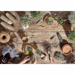 RHS Horticultural Grit Sand - Large - 20kg -Garantia Store 12812883 1834857553141332