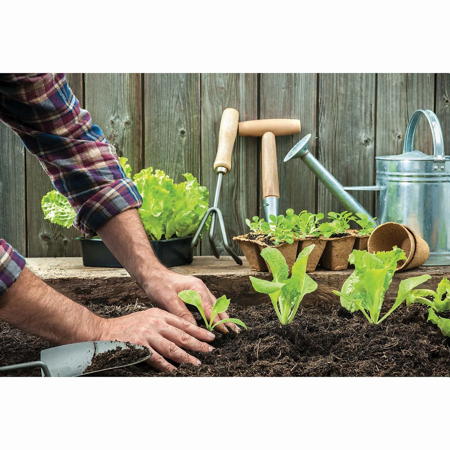 RHS Horticultural Silver Sand - Large - 20kg 2 RHS Horticultural Silver Sand - Large - 20kg - Image 2