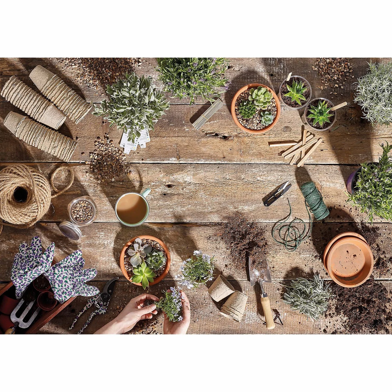 RHS Horticultural Silver Sand - Large - 20kg 3 RHS Horticultural Silver Sand - Large - 20kg - Image 3