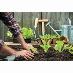 RHS Horticultural Sharp Sand Large Pack - 20kg -Garantia Store 12813007 1964857554364480