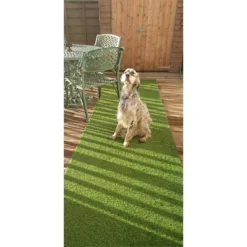 Nomow 20mm Meadow Grass Artificial Grass Roll - 2m Width -Garantia Store 12813441 1904843355255718