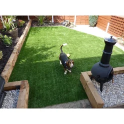 Nomow 20mm Meadow Grass Artificial Grass Roll - 2m Width -Garantia Store 12813441 4464843355284770