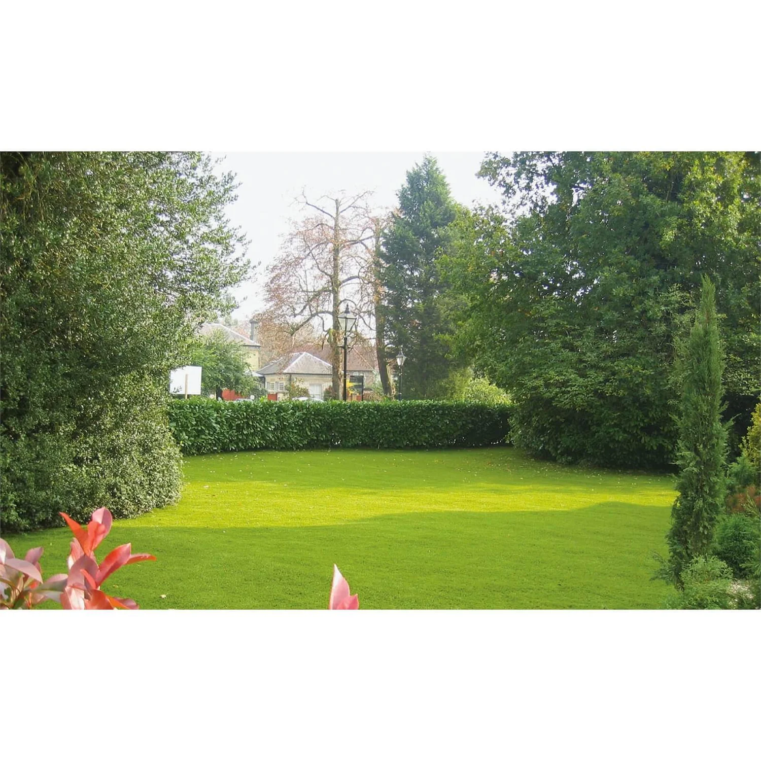 Nomow 28mm Garden Grass Artificial Grass Roll - 2m Width 5 Nomow 28mm Garden Grass Artificial Grass Roll - 2m Width - Image 5