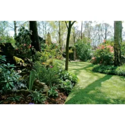 Nomow 40mm Luxury Lawn Artificial Grass Roll - 2m Width -Garantia Store 12819110 2964833199179033