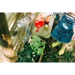 Plum Discovery Mud Pie Kitchen -Garantia Store 12821520 7764957305110193