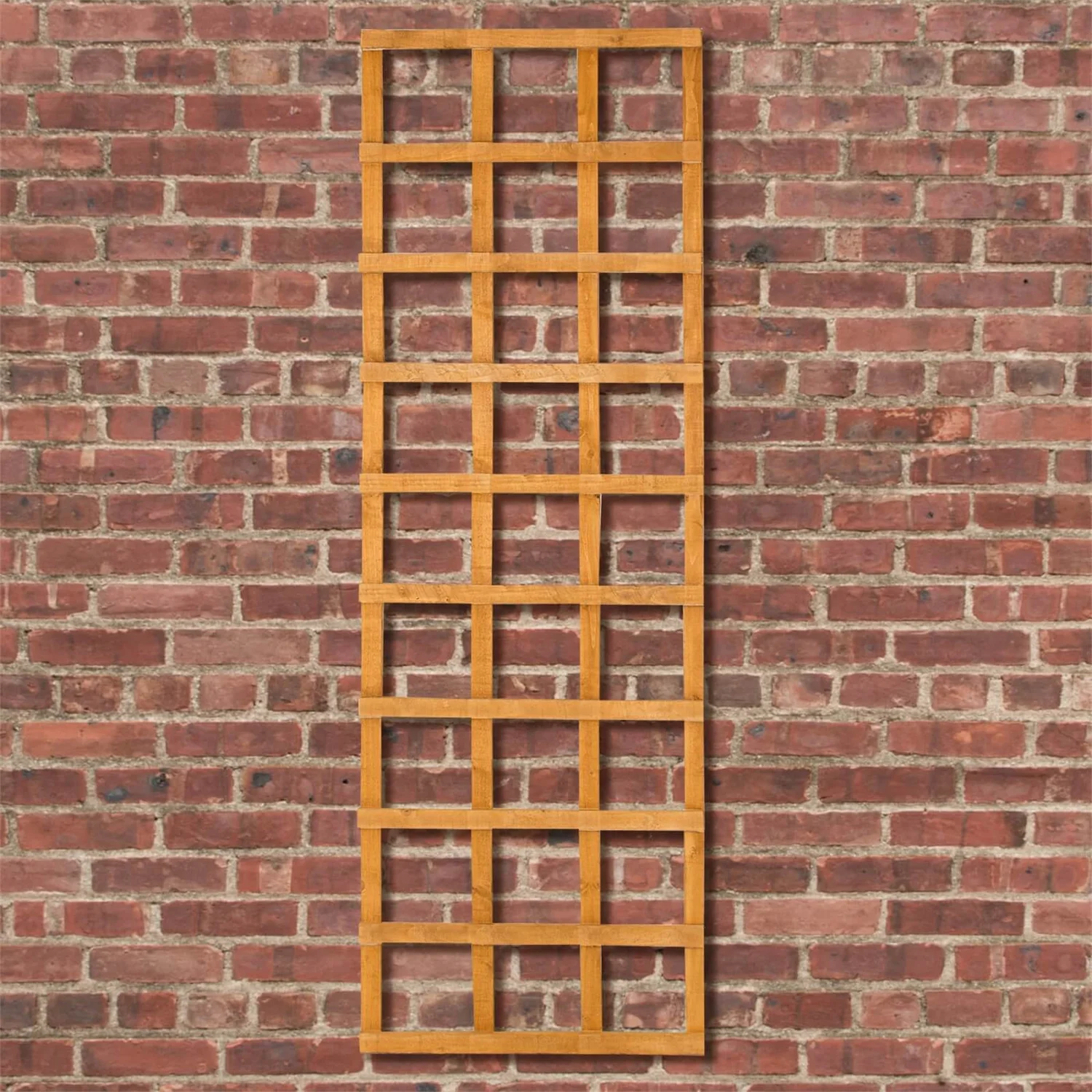 Heavy Duty Trellis - 61cm - Pack Of 5 4 Heavy Duty Trellis - 61cm - Pack Of 5 - Image 4