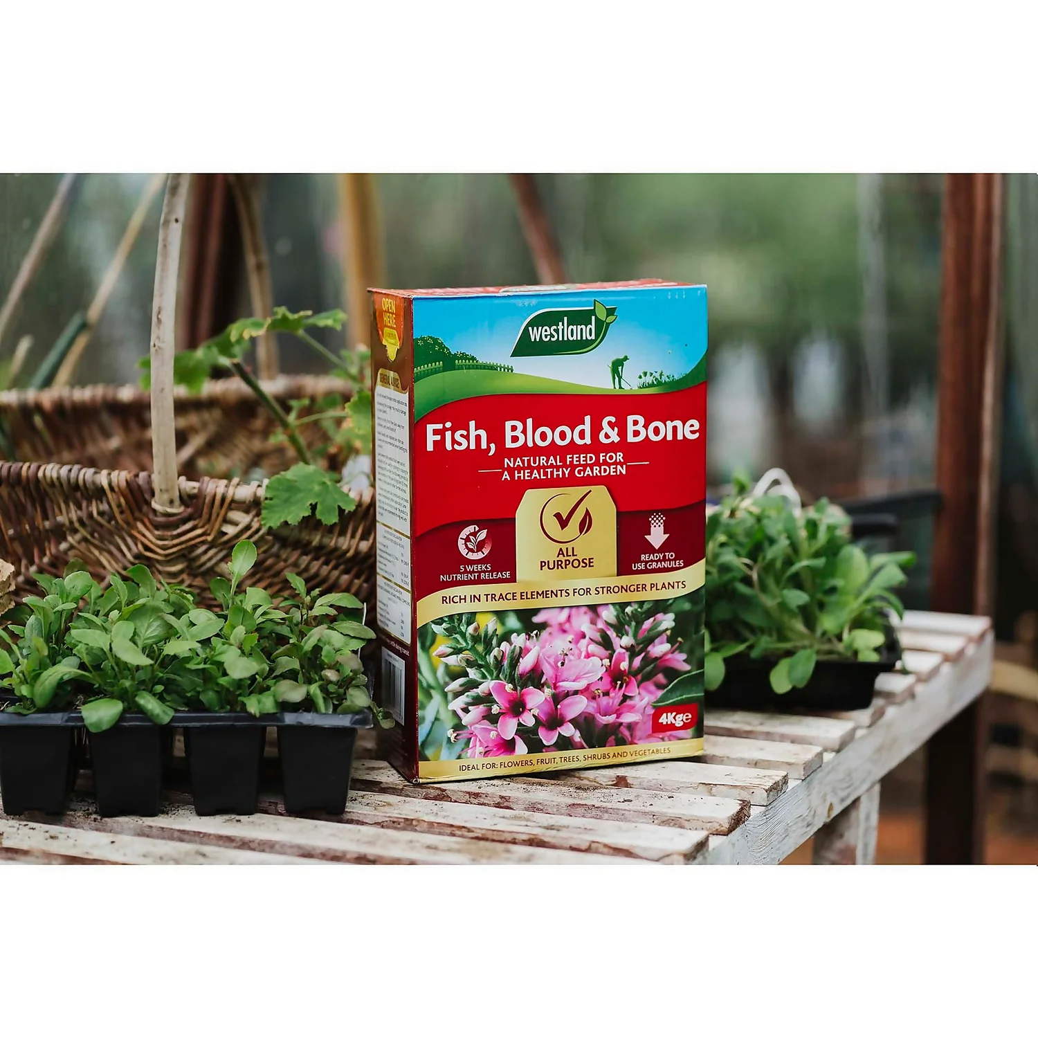 Westland Fish, Blood And Bone All Purpose Plant Food - 4kg 2 Westland Fish, Blood And Bone All Purpose Plant Food - 4kg - Image 2