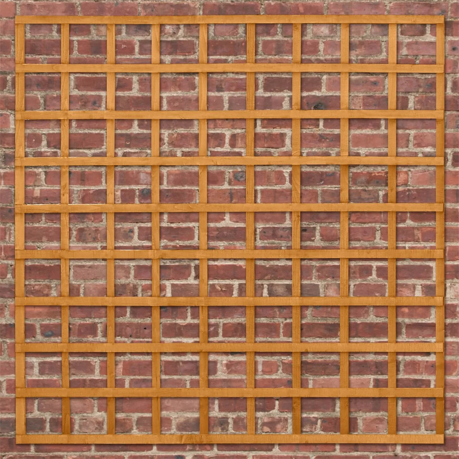 Heavy Duty Trellis - 183cm - Pack Of 10 3 Heavy Duty Trellis - 183cm - Pack Of 10 - Image 3