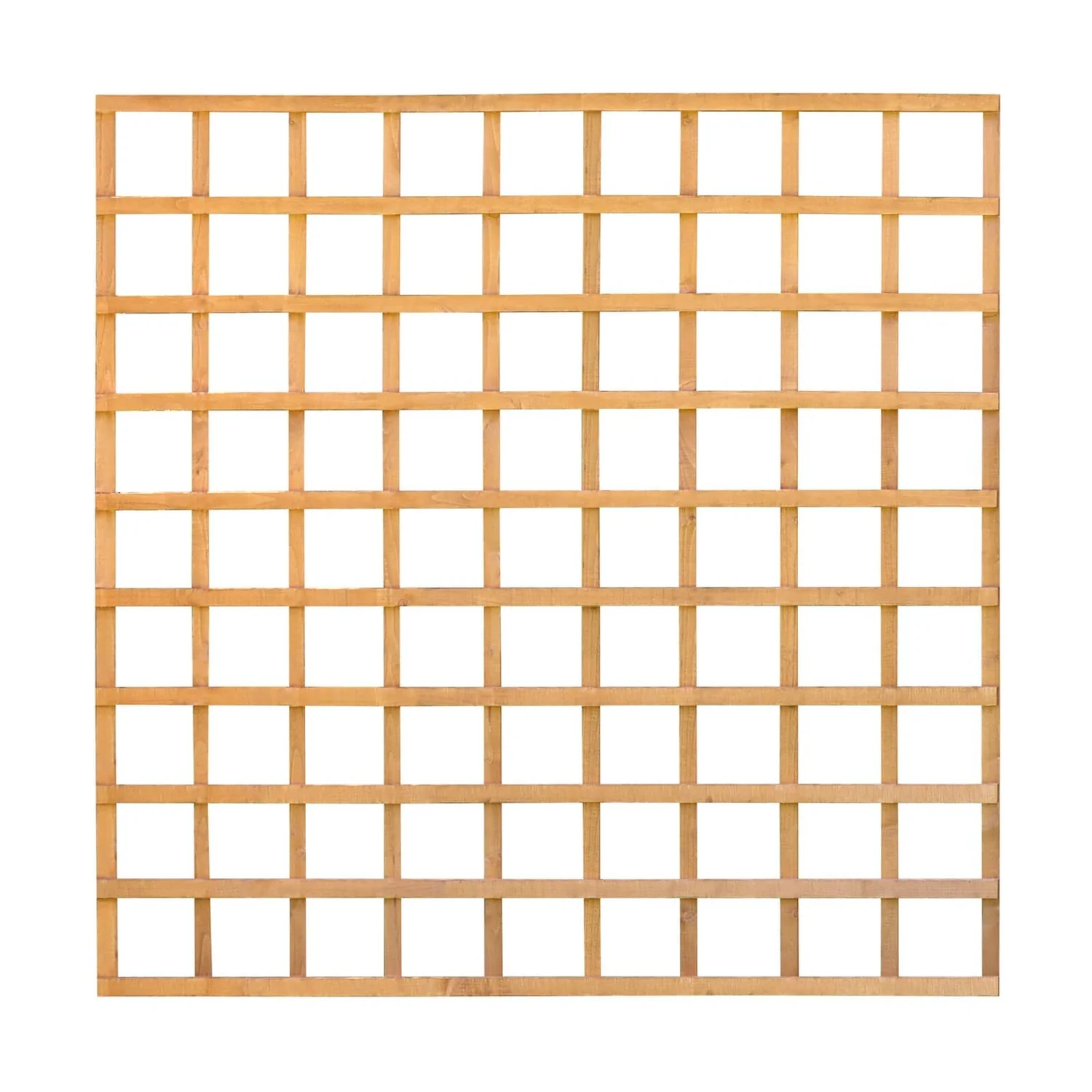 Heavy Duty Trellis - 183cm - Pack Of 10 6 Heavy Duty Trellis - 183cm - Pack Of 10 - Image 6