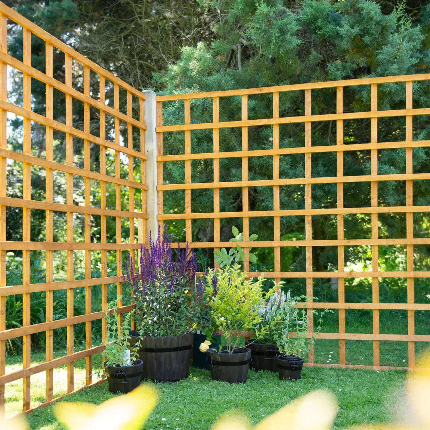 Heavy Duty Trellis - 183cm - Pack Of 10 5 Heavy Duty Trellis - 183cm - Pack Of 10 - Image 5
