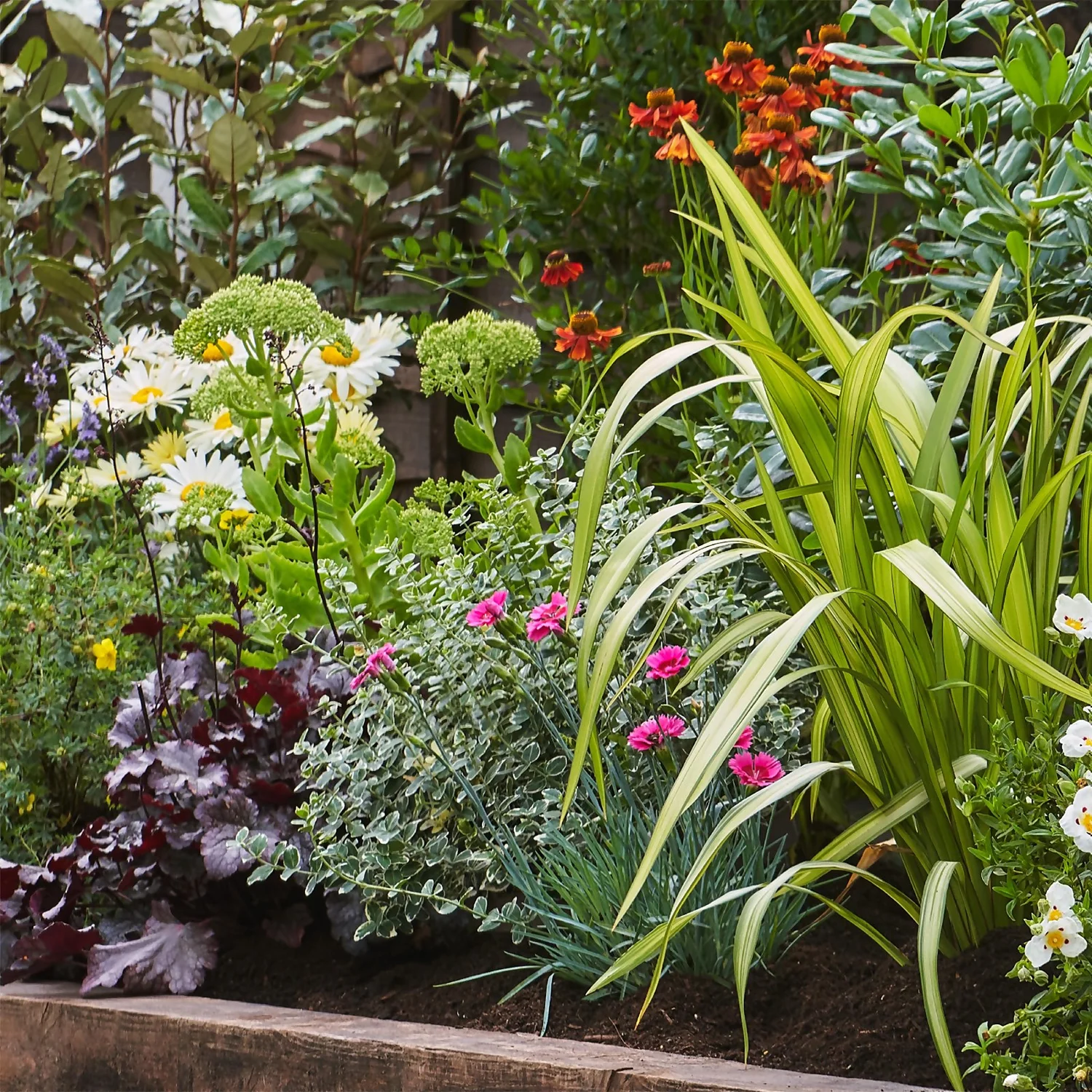 Sunny Border 4m X 40cm 4 Sunny Border 4m X 40cm - Image 4