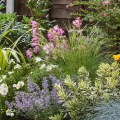 Sunny Border 8m X 40cm -Garantia Store 12823626 1065034640671813