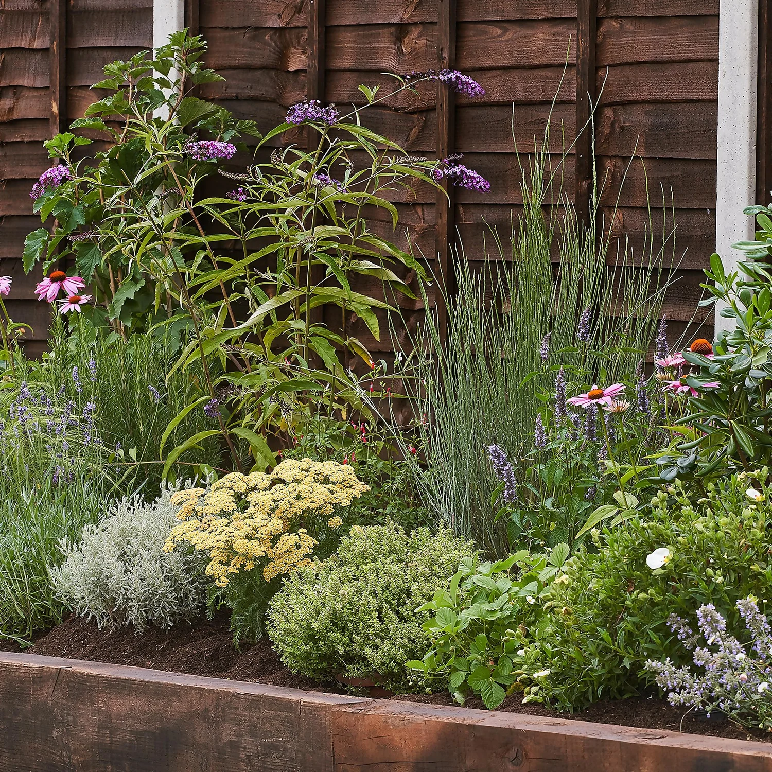 Sensory Border 5m X 40cm 1 Sensory Border 5m X 40cm