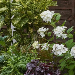 Shady Border 4m X 120cm -Garantia Store 12827309 1765034638179983