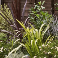 Mediterranean Border 6m X 120cm -Garantia Store 12827481 2295027900626713