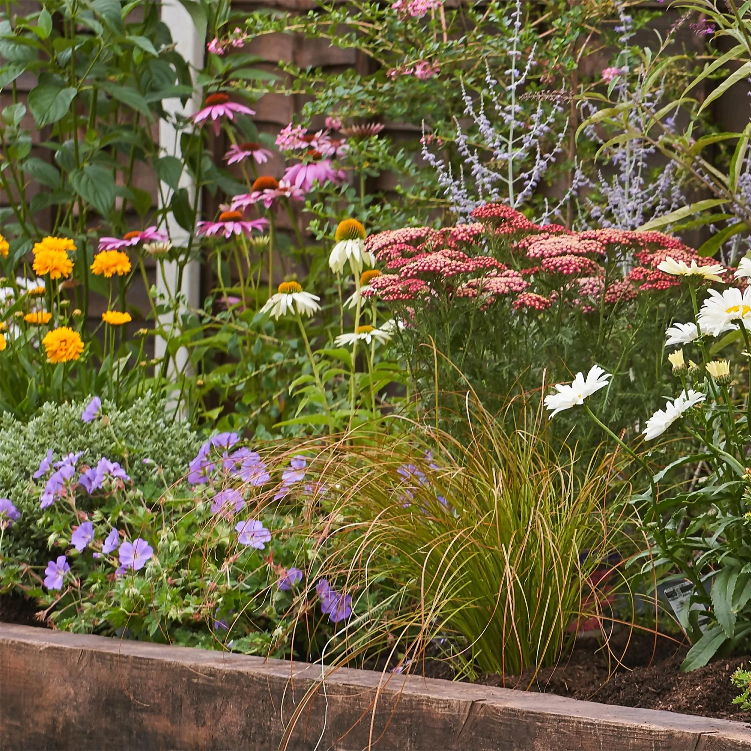 Bee And Butterfly Border 7m X 120cm 4 Bee And Butterfly Border 7m X 120cm - Image 4