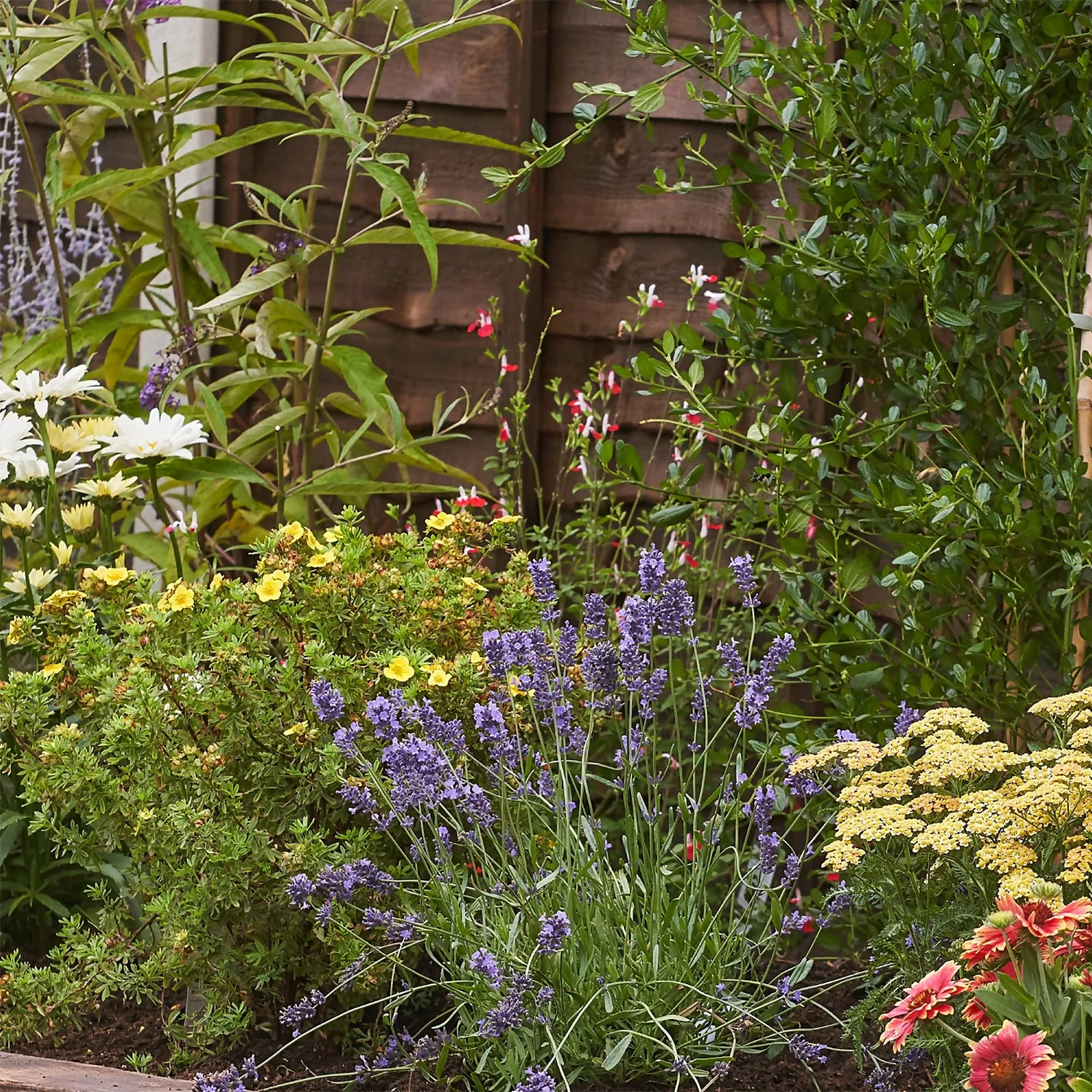 Bee And Butterfly Border 7m X 120cm 5 Bee And Butterfly Border 7m X 120cm - Image 5