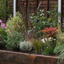 Garden On A Roll Eco Border - 7m X 60cm