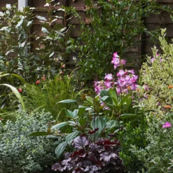 Garden On A Roll Eco Border - 10m X 90cm -Garantia Store 12838004 5035027899949562