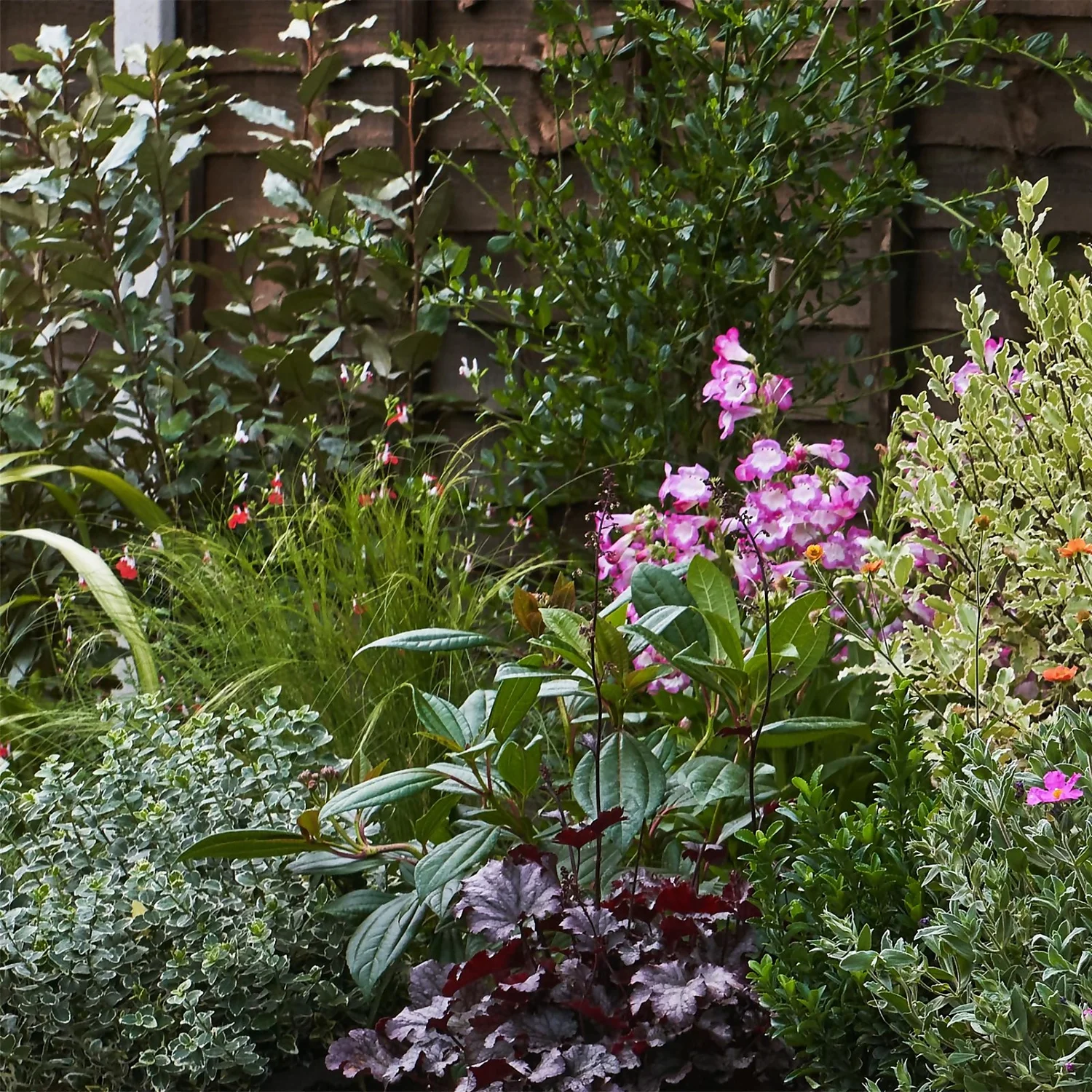 Garden On A Roll Eco Border - 6m X 120cm 4 Garden On A Roll Eco Border - 6m X 120cm - Image 4