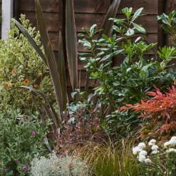 Garden On A Roll Eco Border - 6m X 120cm 11 Garden On A Roll Eco Border - 6m X 120cm -Garantia Store 12838015 1445027901012636