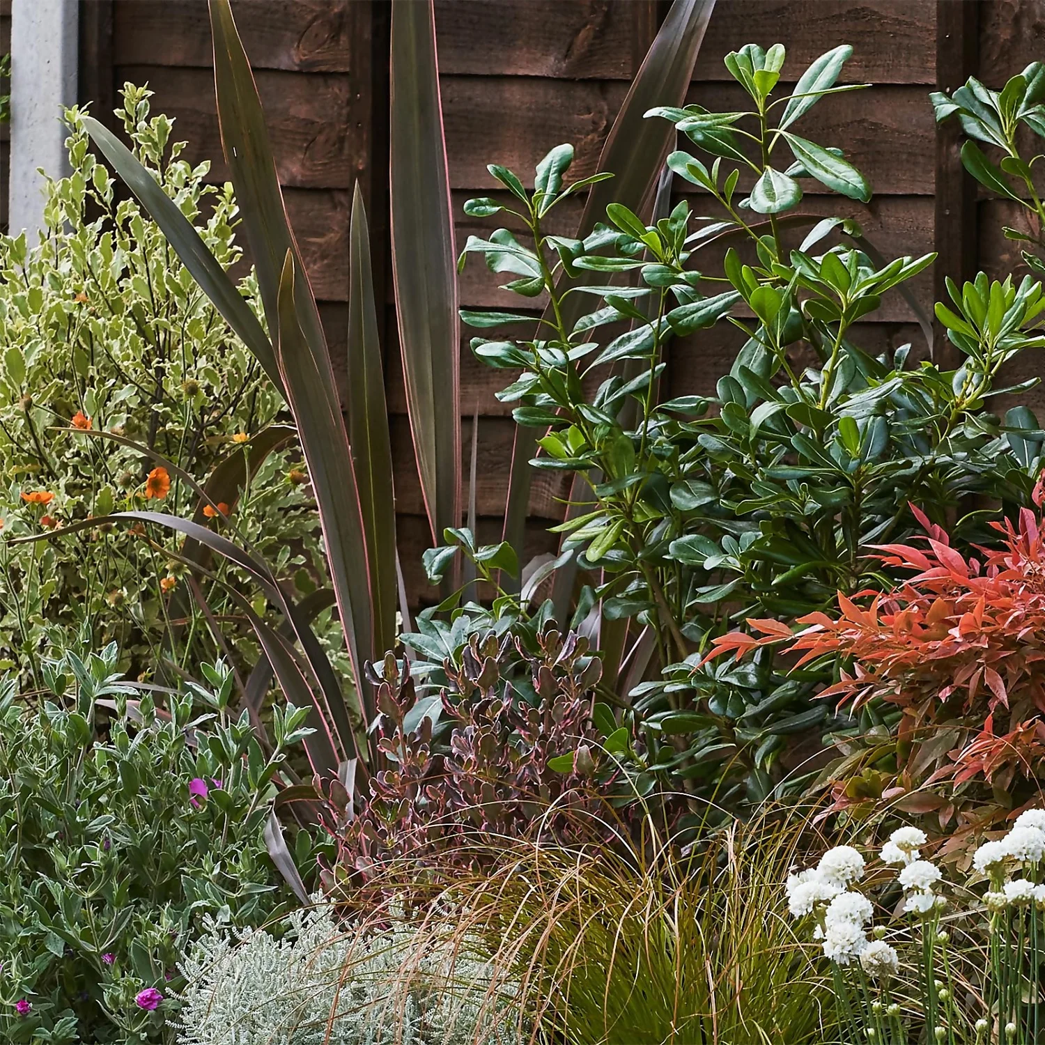 Garden On A Roll Eco Border - 6m X 120cm 5 Garden On A Roll Eco Border - 6m X 120cm - Image 5