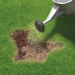 Miracle-Gro Patch Magic Grass Seed, Feed & Coir - 48 Patch Bag -Garantia Store 12841642 1784927305573390