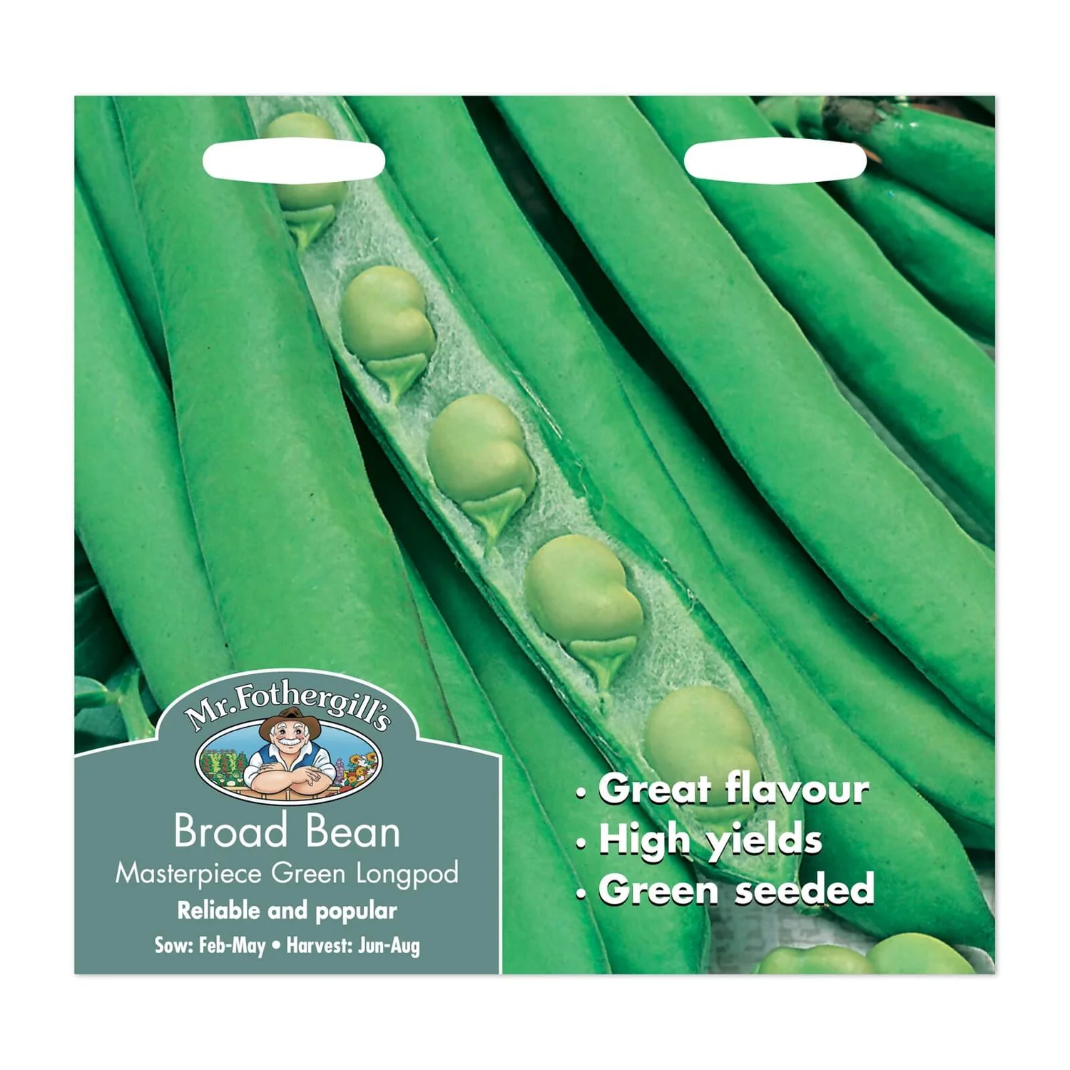 Mr. Fothergill's Broad Bean Masterpiece Green Longpod Seeds 1 Mr. Fothergill's Broad Bean Masterpiece Green Longpod Seeds