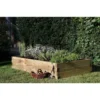 Forest Caledonian Wooden Raised Bed 180 X 90cm
