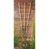 Forest Garden Fan Trellis